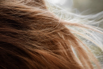 Understanding the Impact of Hormones on Hair Loss